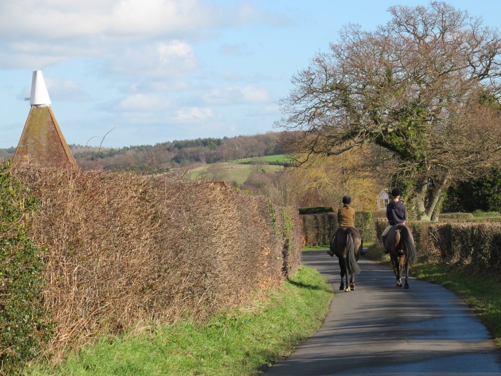 Two Horse Riders Riding Down A Country Lane