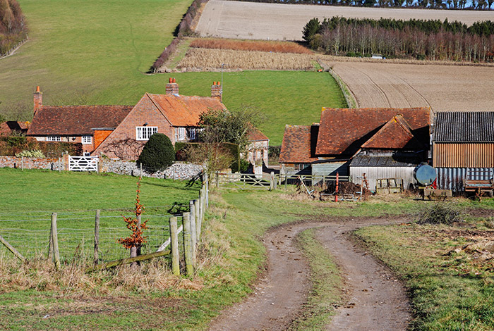 Cottages In The Countryside