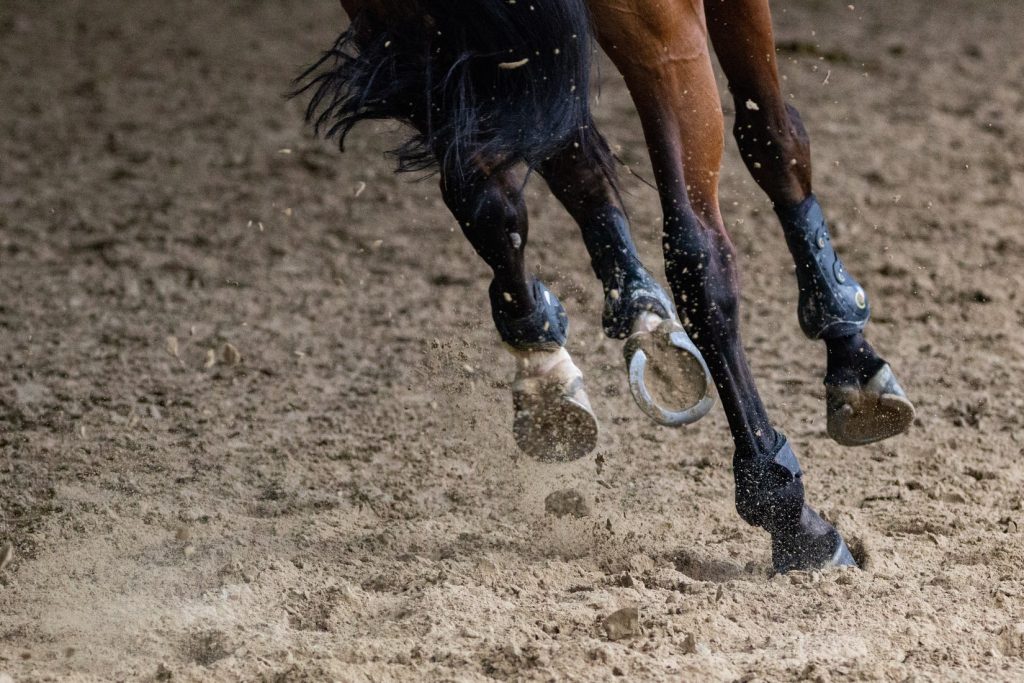 Horses Hooves Whilst The Horse Gallops